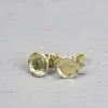 Jéh Jewels Touch of Gold oorbellen - Rond 19249