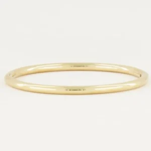 My Jewellery Bangle glimmend - Goudkleurig MJ02672-1200