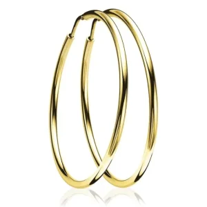 Zinzi Geel vergulde zilveren oorbellen - Ring 45 x 2 mm ZIO436G