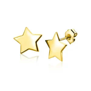 Zinzi Gold 14K Gouden oorbellen - Ster ZGO315
