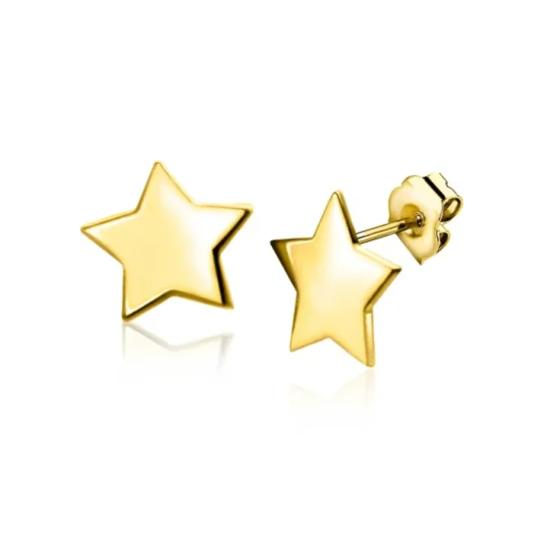 Zinzi Gold 14K Gouden oorbellen - Ster ZGO315