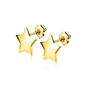 Zinzi Gold 14K Gouden oorbellen - Ster ZGO315